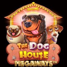  The Dog House Megaways Test