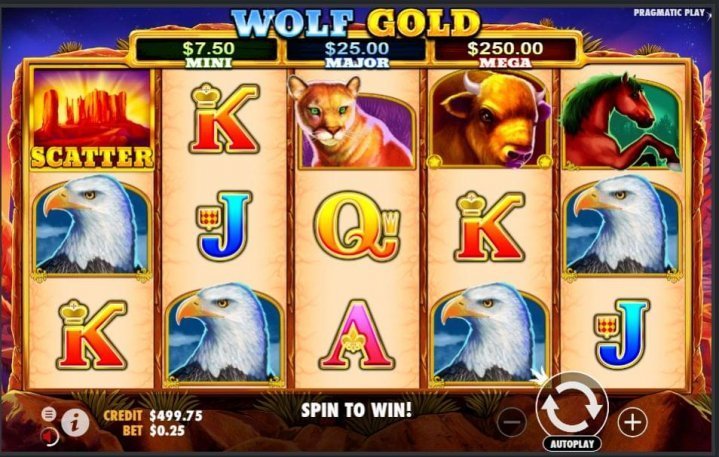 Wolf Gold 1