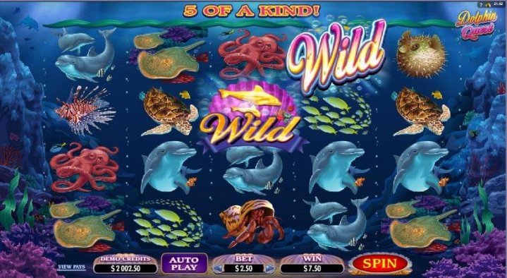 Dolphin Quest 1
