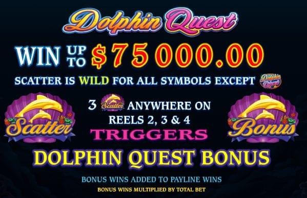 Dolphin Quest 2