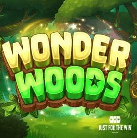  Wonder Woods 