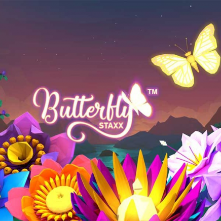  Butterfly Staxx 