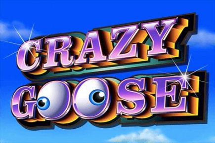  Crazy Goose 
