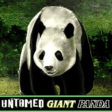  Untamed Giant Panda 