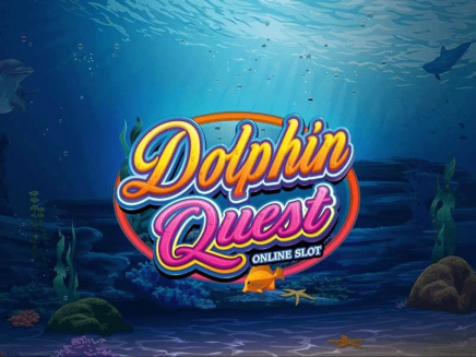  Dolphin Quest 