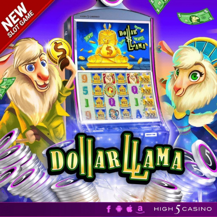  Dollar Llama 