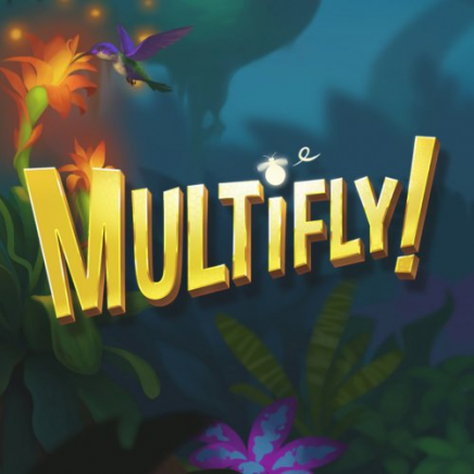  Multifly 