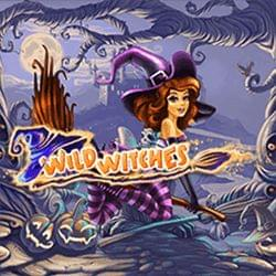  Wild Witches 