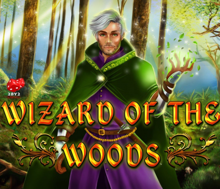  Wizard of the Woods 