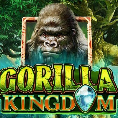  Gorilla Kingdom 