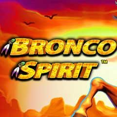  Bronco Spirit 