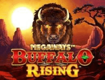  Buffalo Rising Megaways مراجعة