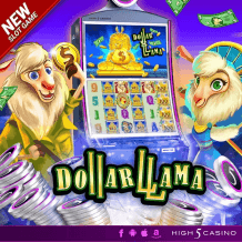  Dollar Llama مراجعة