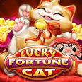  Lucky Fortune Cat مراجعة