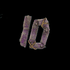 Catfish Hunters 11
