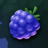 Boomberries 5