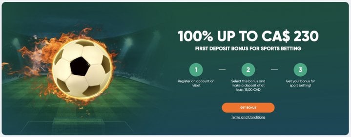 Ivibet Casino 9