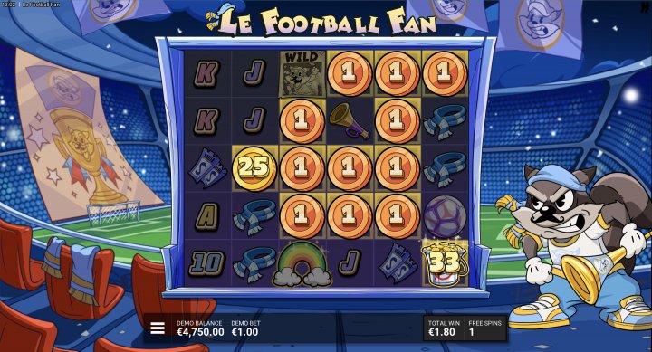 Le Football Fan 13