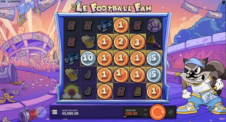 Le Football Fan 14