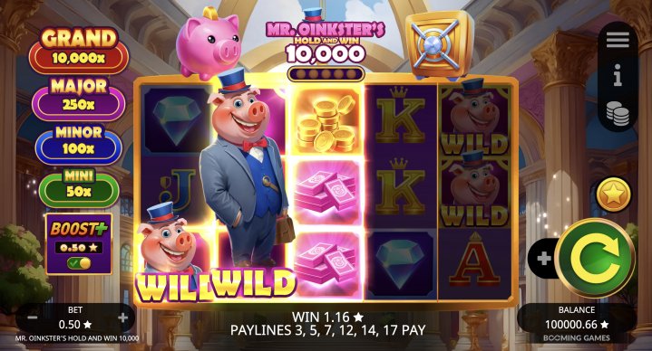 Mr. Oinkster’s Hold & Win 10,000 14