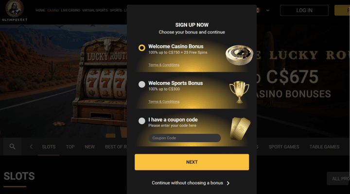 OlympusBet Casino 2