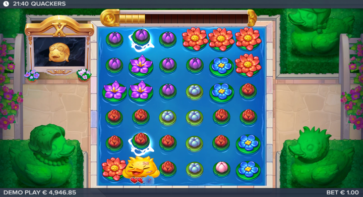 Quackers 12
