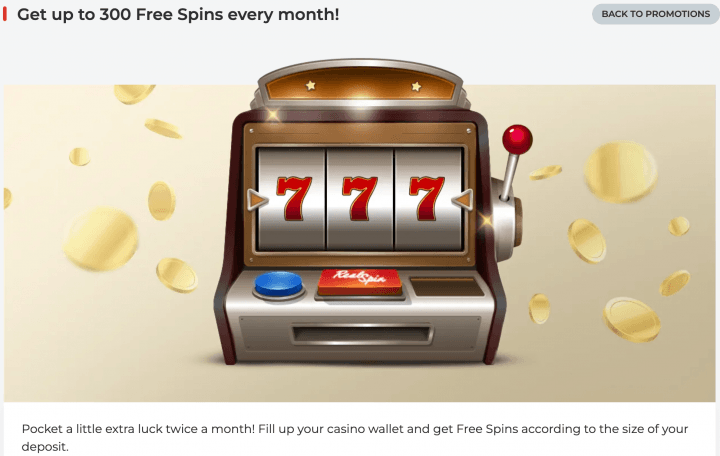 RealSpin Casino 4