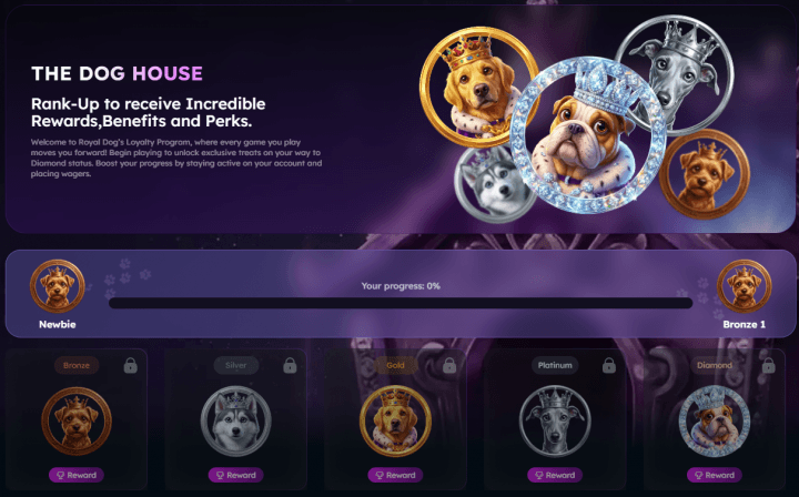 Royal Dogs Casino 8