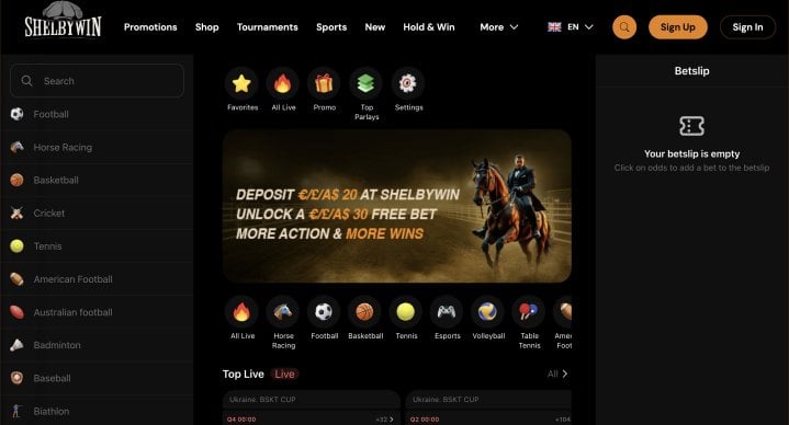 ShelbyWin Casino 11