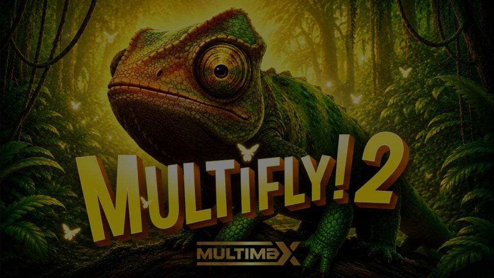 MultiFly! 2 demo
