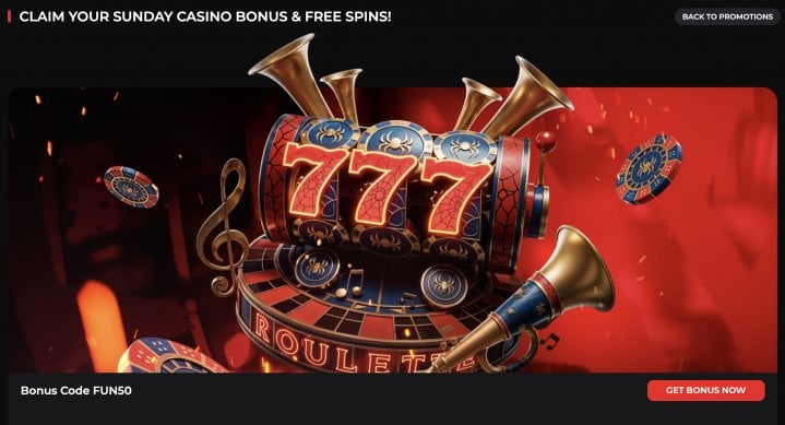 SpiderBets Casino 6