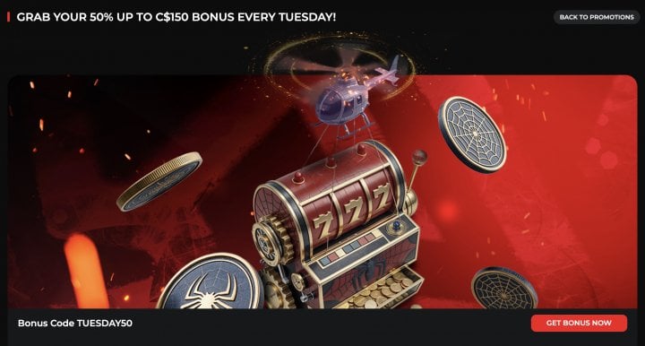 SpiderBets Casino 4