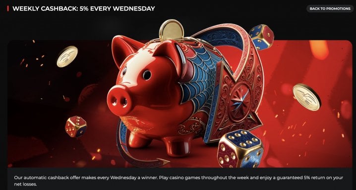 SpiderBets Casino 3