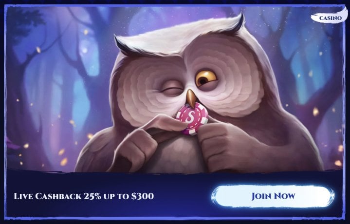 Spinight Casino 6