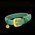 The Big Dog House 6