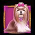 The Big Dog House 3