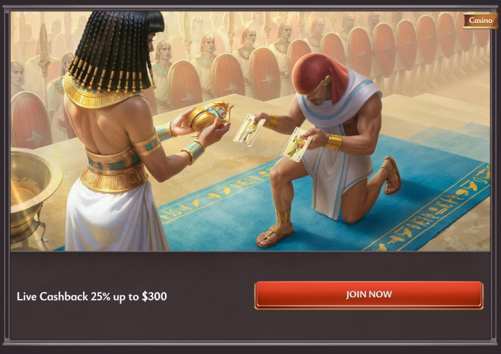 ViciBet Casino 5