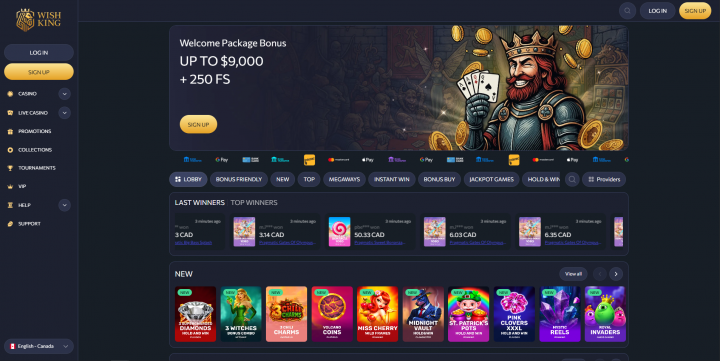 WishKing Casino 1