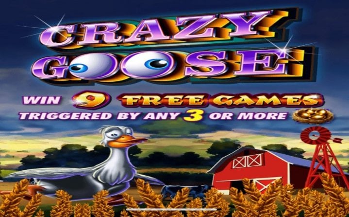 Crazy Goose 2