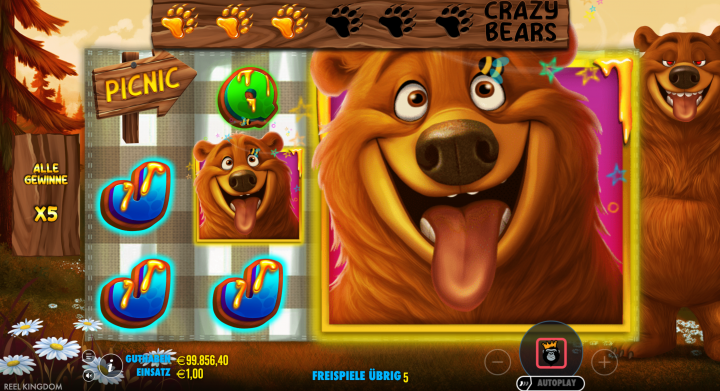 Bear Crazy 5