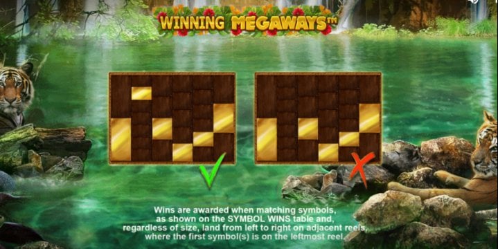 Big Cat Rescue Megaways 2