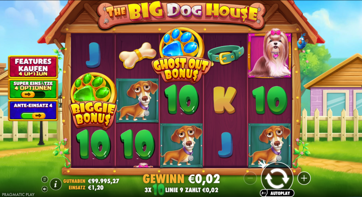 The Big Dog House 18