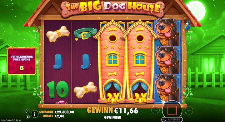 The Big Dog House 13