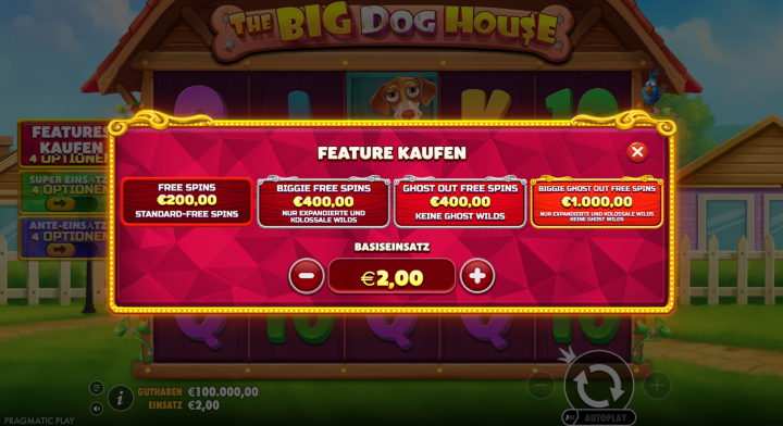 The Big Dog House 16