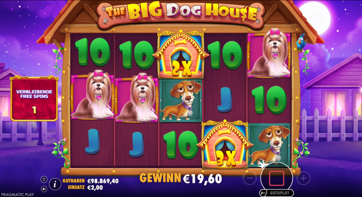 The Big Dog House 14