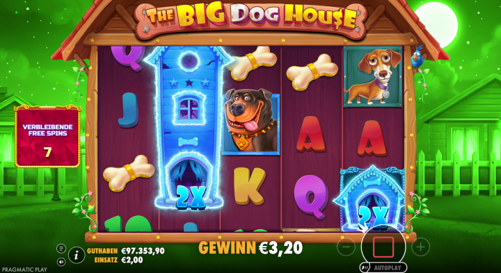 The Big Dog House 15