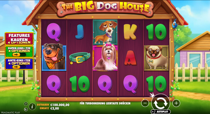 The Big Dog House 1