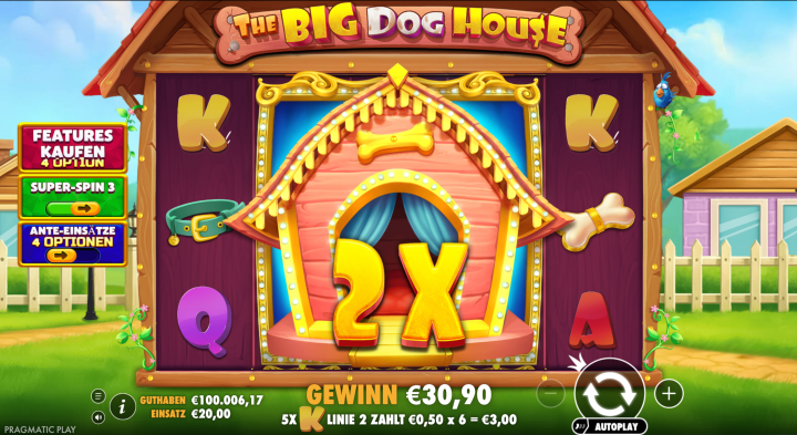 The Big Dog House 17