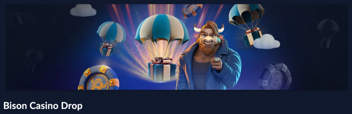 Bison Casino 9