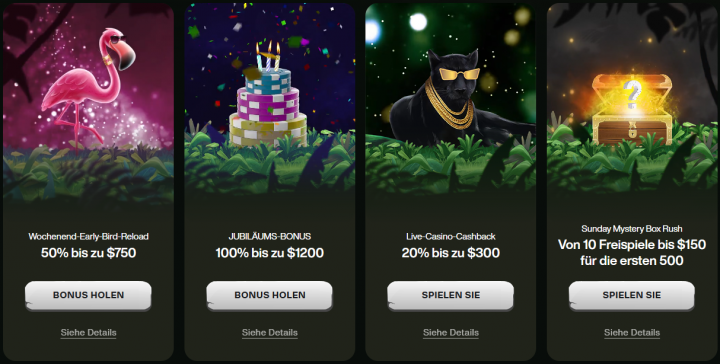 cashwin casino
